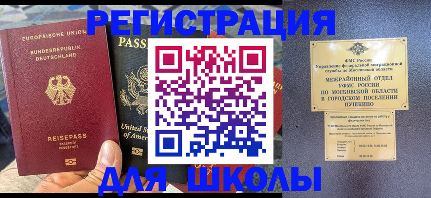 прописка 2025 в Сольцах